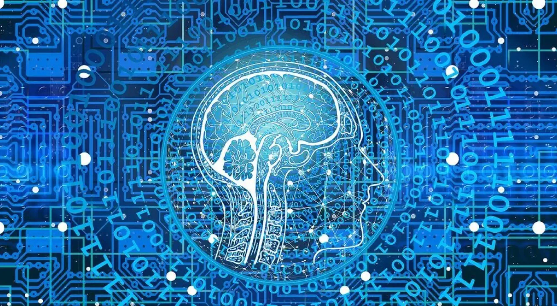 Insights1